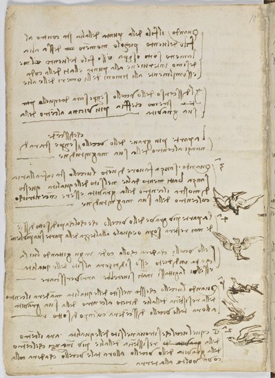 Vogelvluchtcode, c. 1505-06, blad 7 verso door Leonardo da Vinci